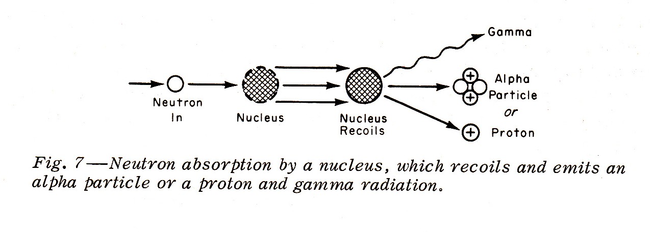 Neutron Absorption By A Nucleus!